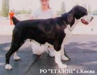 СРЕДНЕАЗИАТСКАЯ ОВЧАРКА